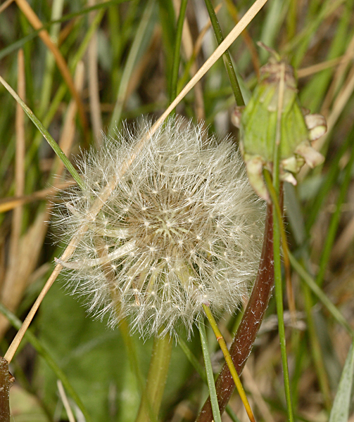 STP_3209.jpg