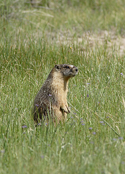 STP_3273.jpg