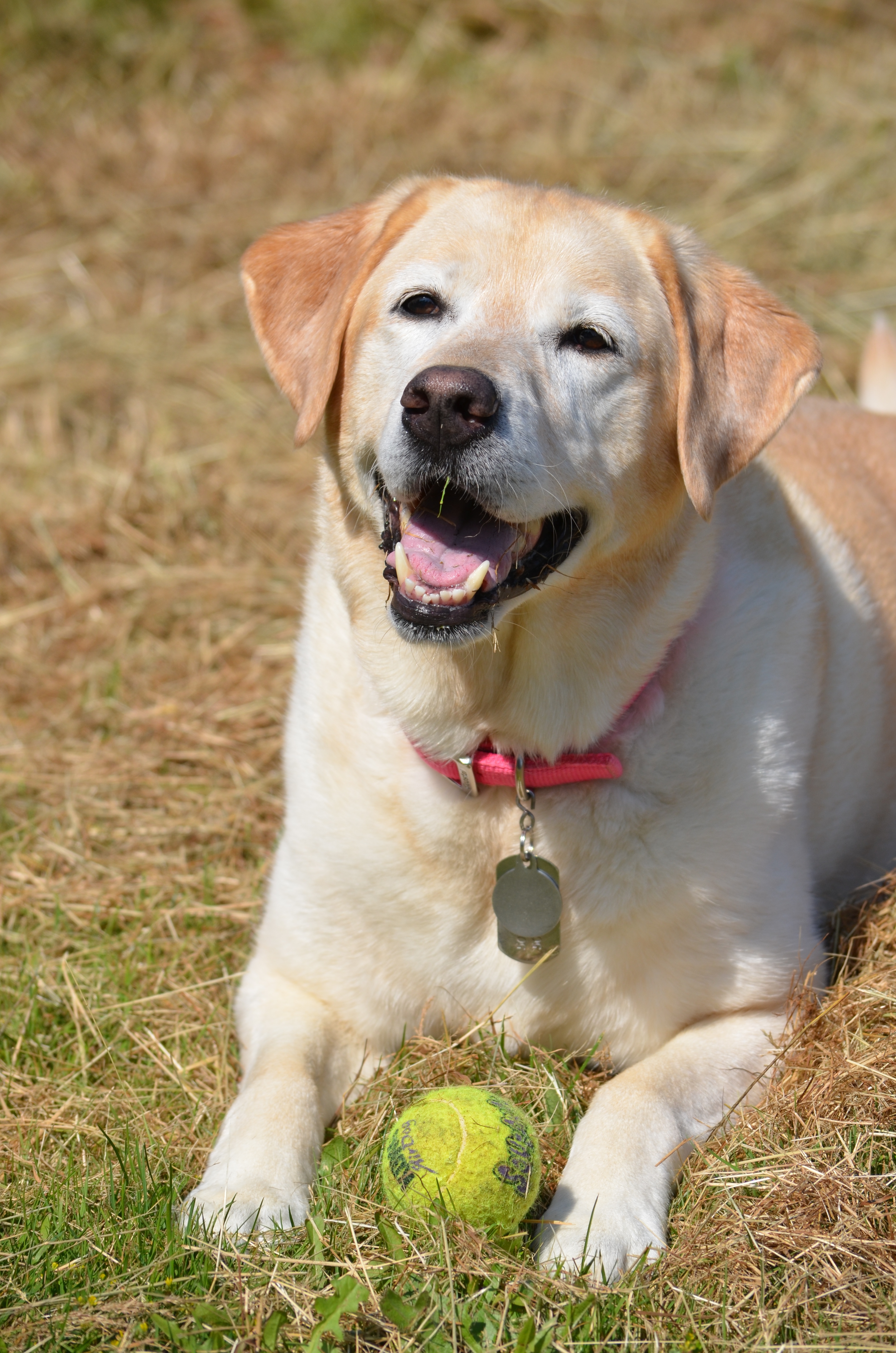 2012 07 06_1496.JPG