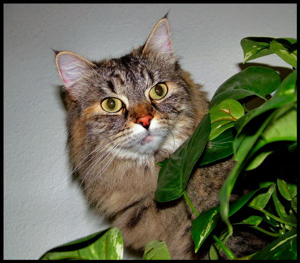 DSCF9578.JPG