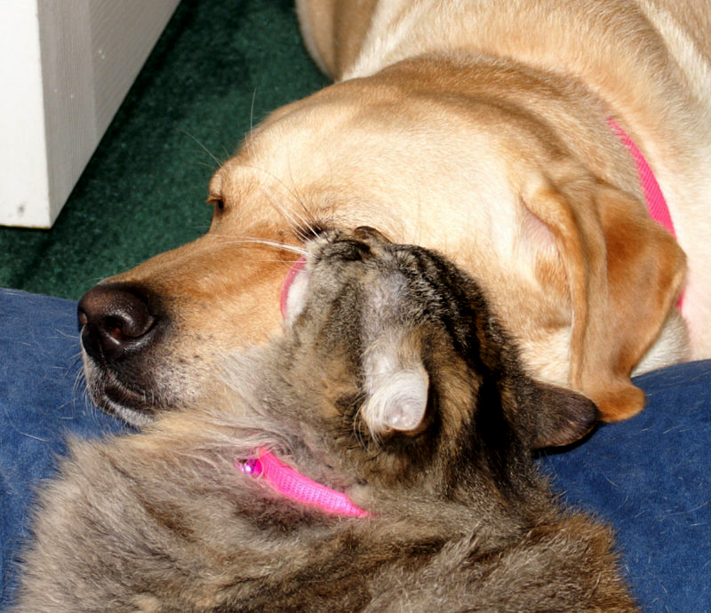 PICT0003.JPG