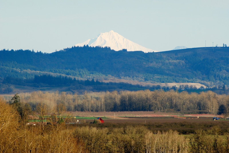 DSC_0134.jpg