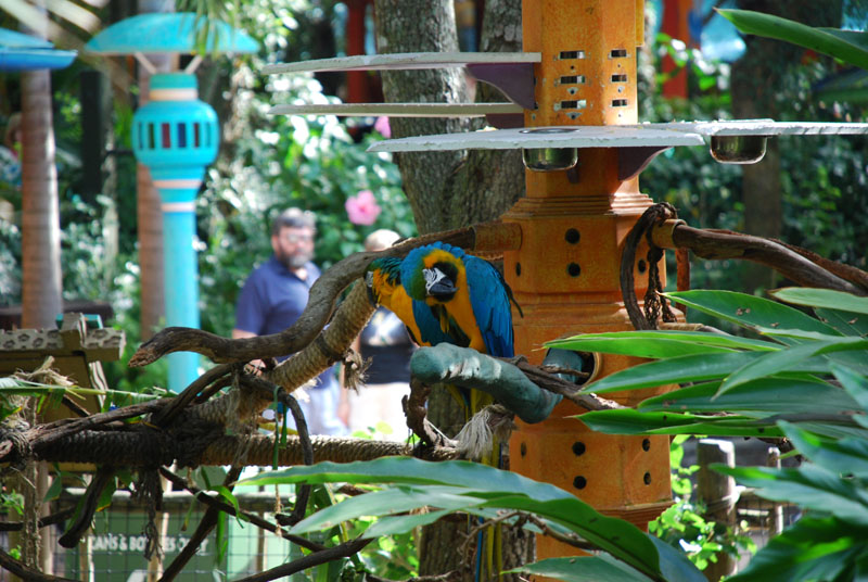 DSC_0395.jpg