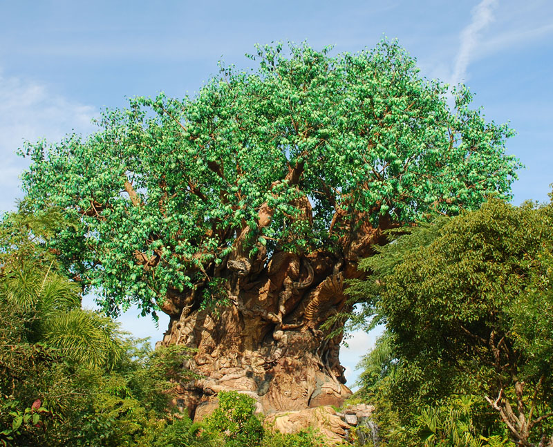 Tree of Life