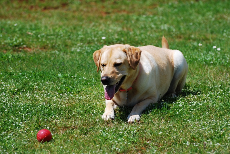 DSC_0016.JPG