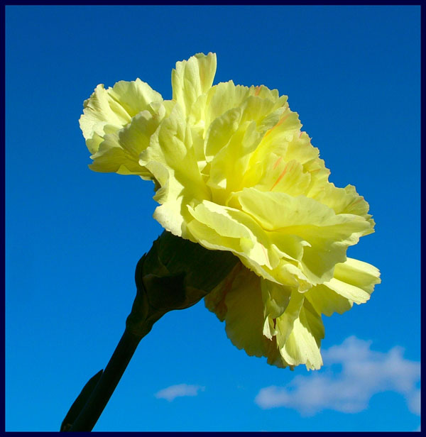 DSCF6286.JPG