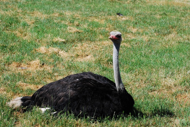 DSC_0119.JPG