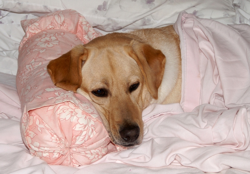 PICT0001.jpg