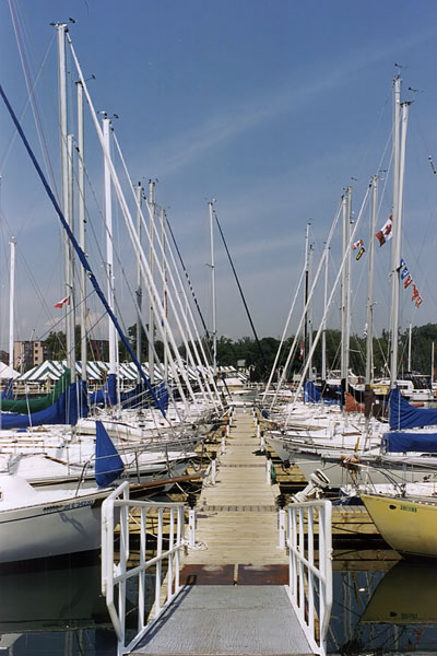 Boats at Cobourg marina.