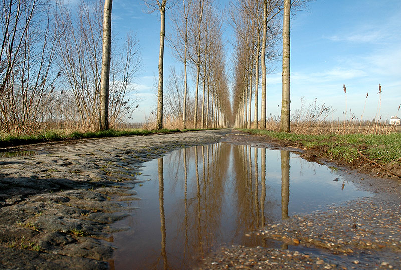 Moerbeke