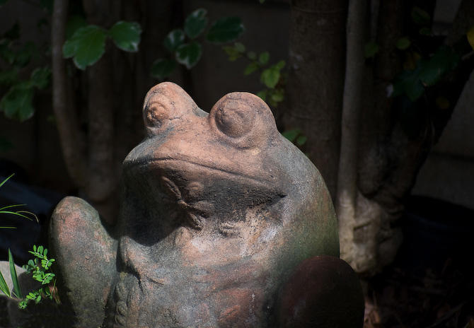 Ever Watchful