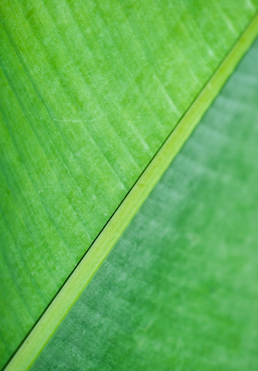 Diagonal