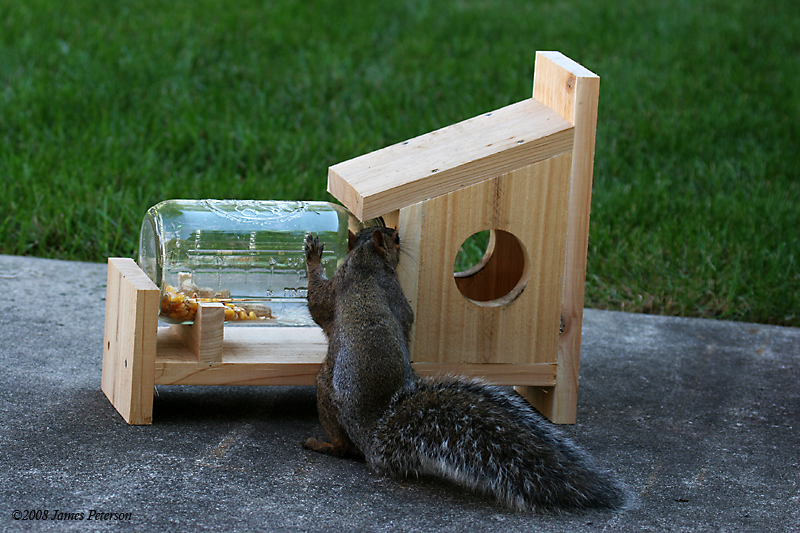 Squirrel Feeder (35907)