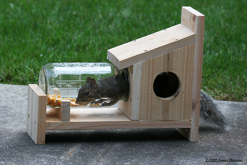 Squirrel Feeder (35937)