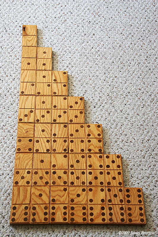 Wooden Dominoes (40953)