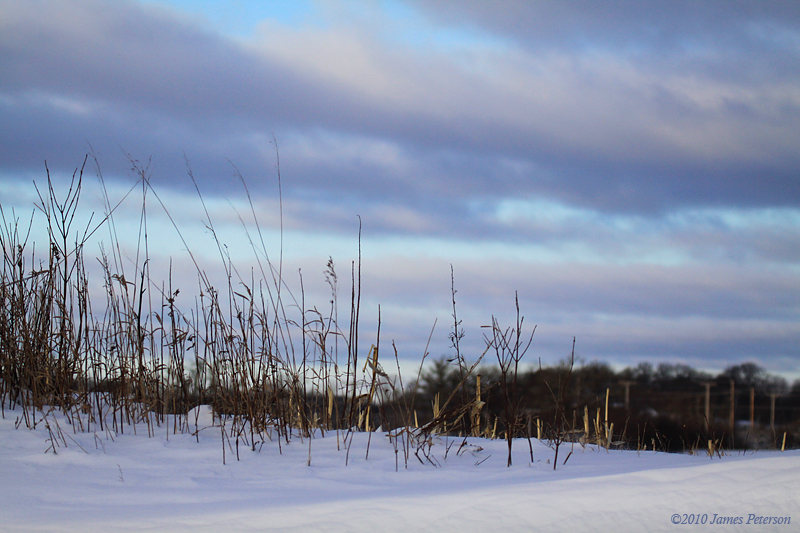 Winter Landscape (5830)
