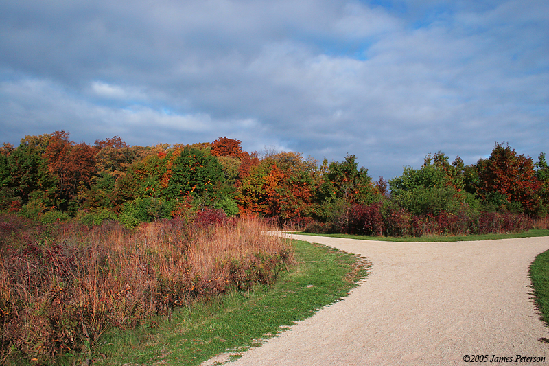 A Path Divided (0659)