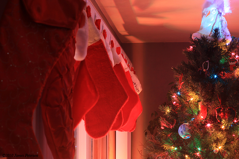The Stockings Hung (11390)