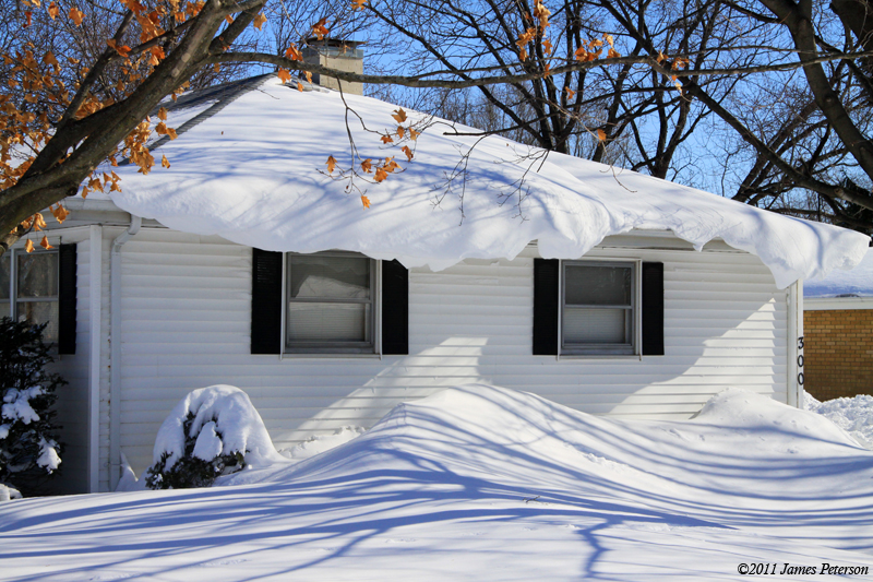 Roof Snow (12146)