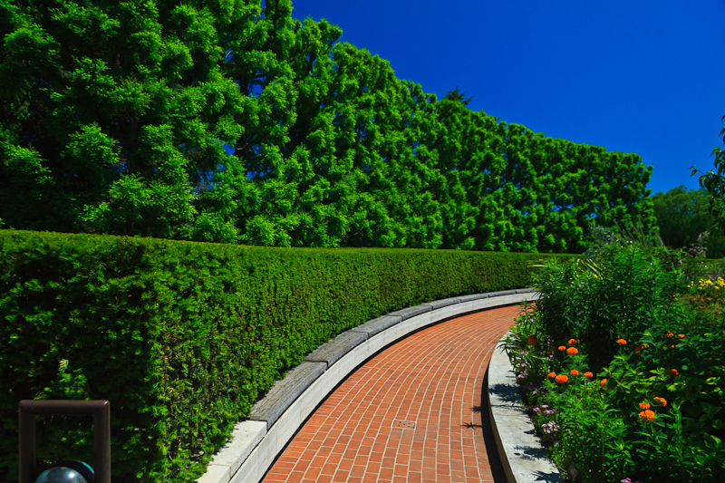 Garden Walkway (15334)