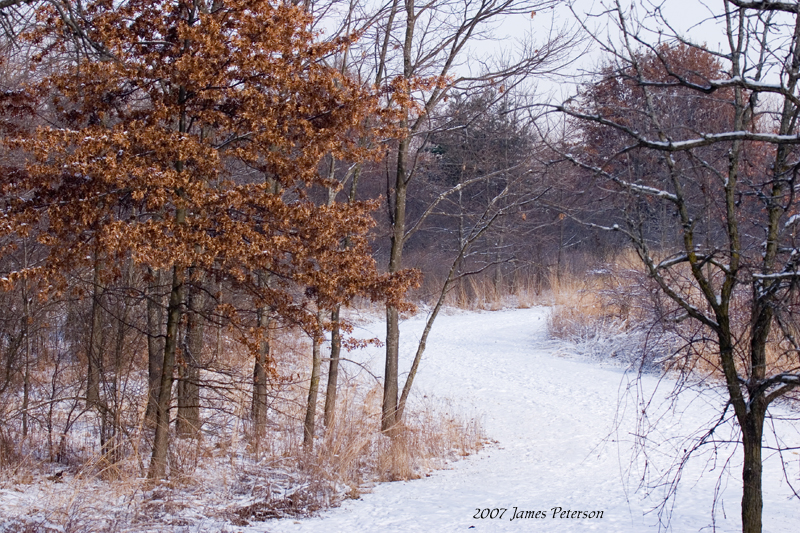 Winding Trail (13336)