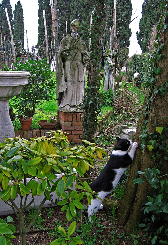 Garden, statuary, and scratcher .. 2875