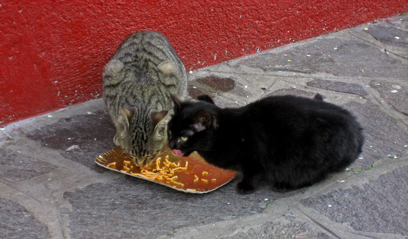 Lunchtime in Burano .. 2919