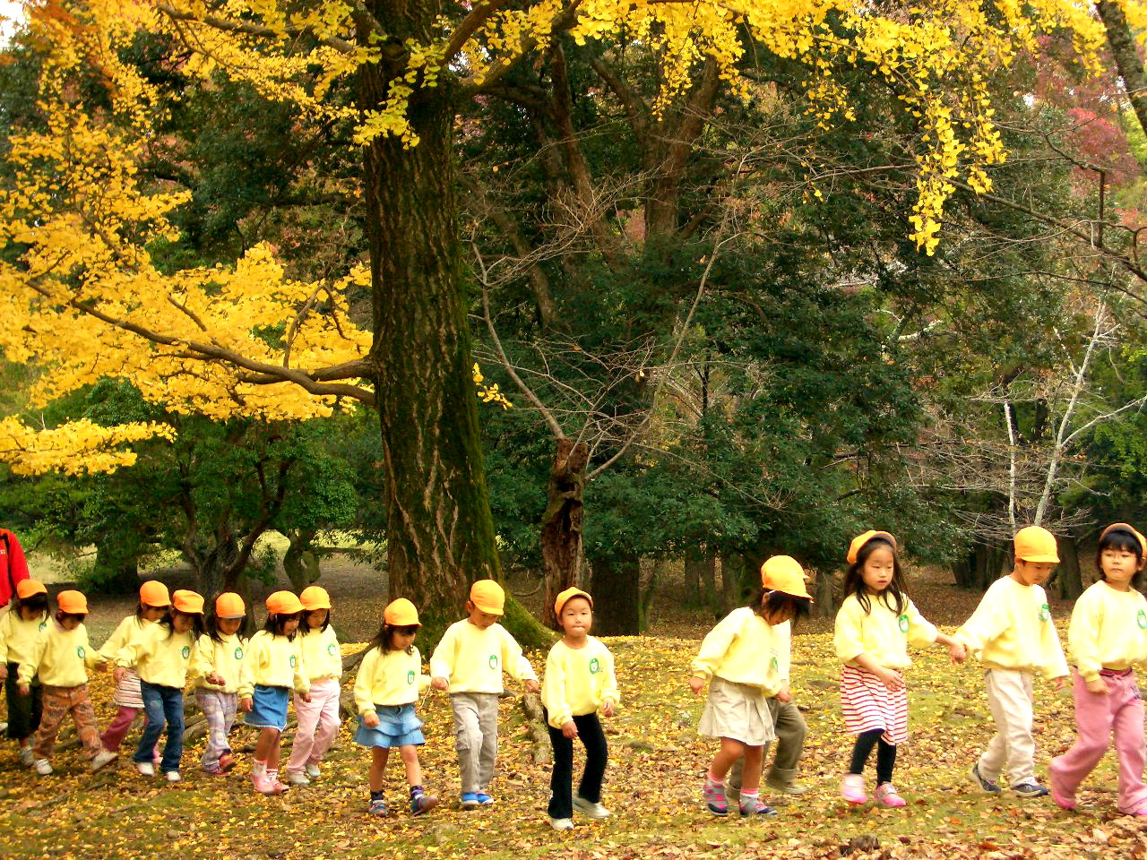 precious children field trip day