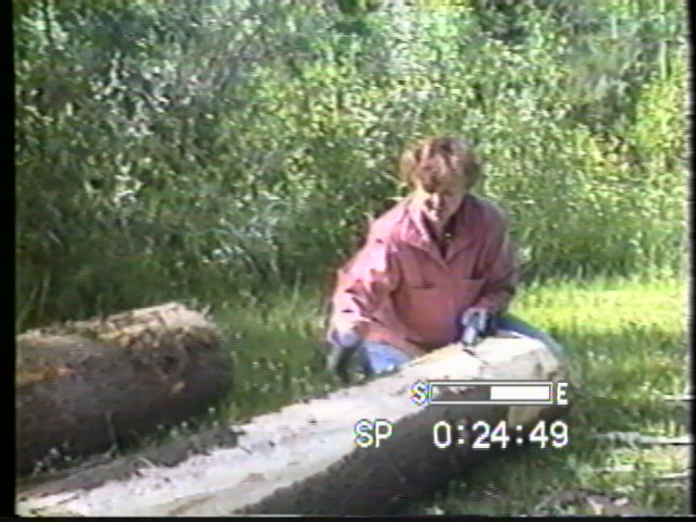 Peeling Logs
