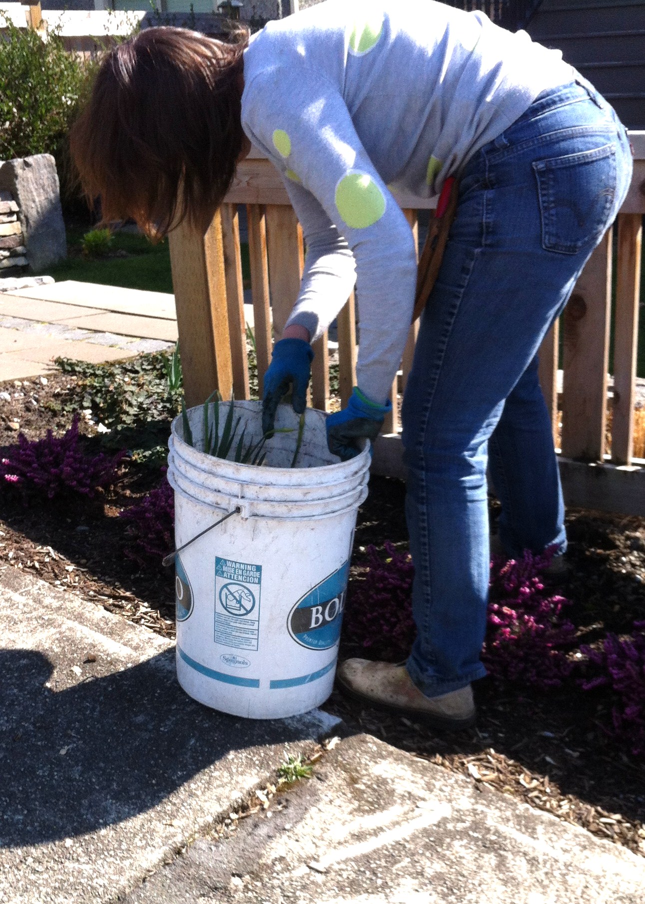 Spring Gardening