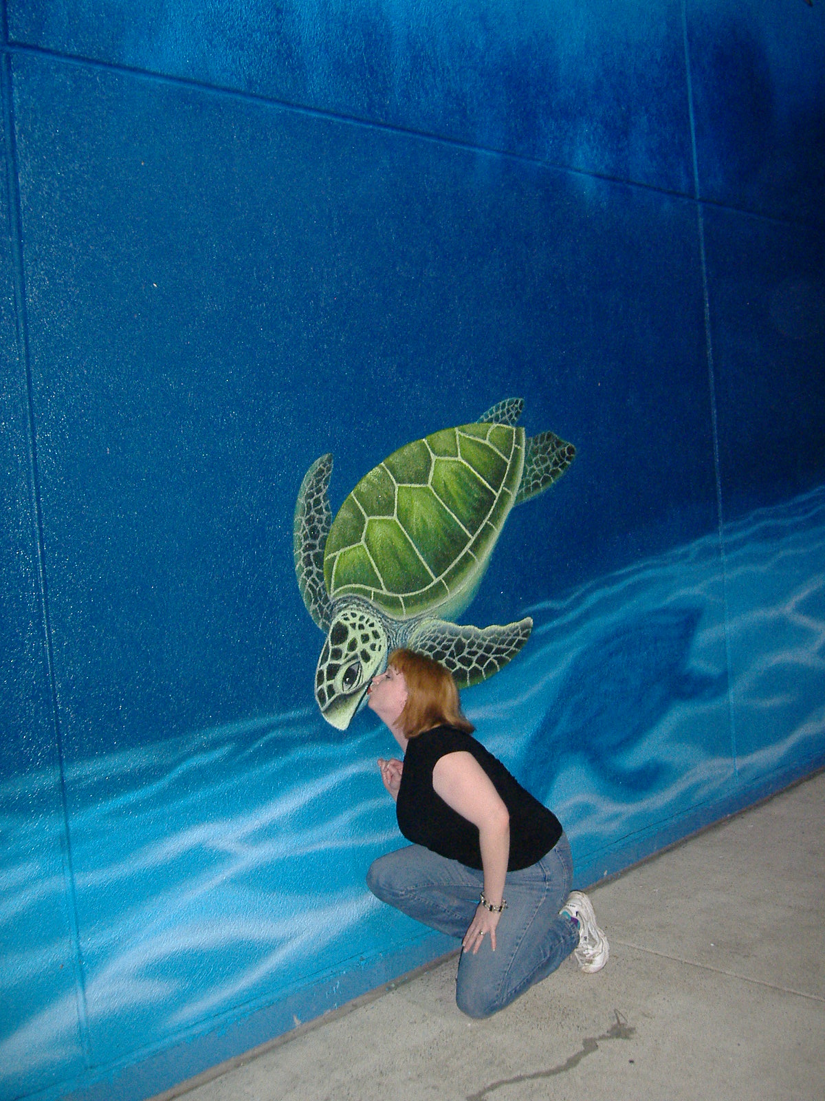 Sea Turtle Love