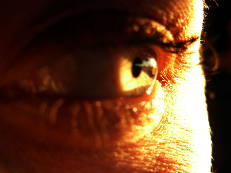 Sunny Eyed Surprise