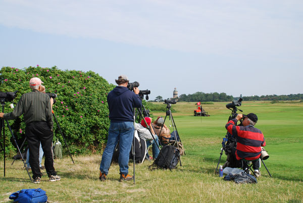 Falsterbo med bl a Svart stork  22.8-07