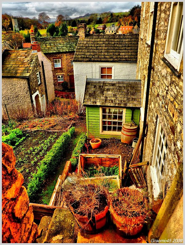 Back Gardens