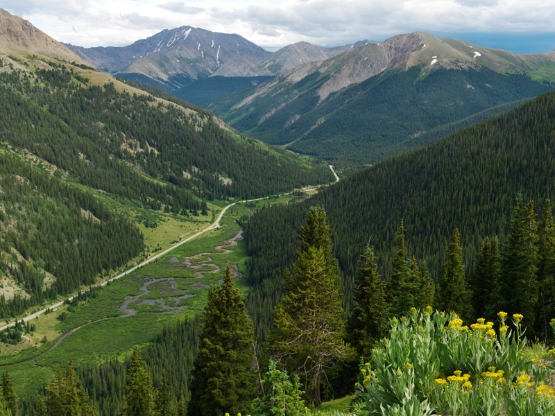 2310v4_5553w_prv.jpg