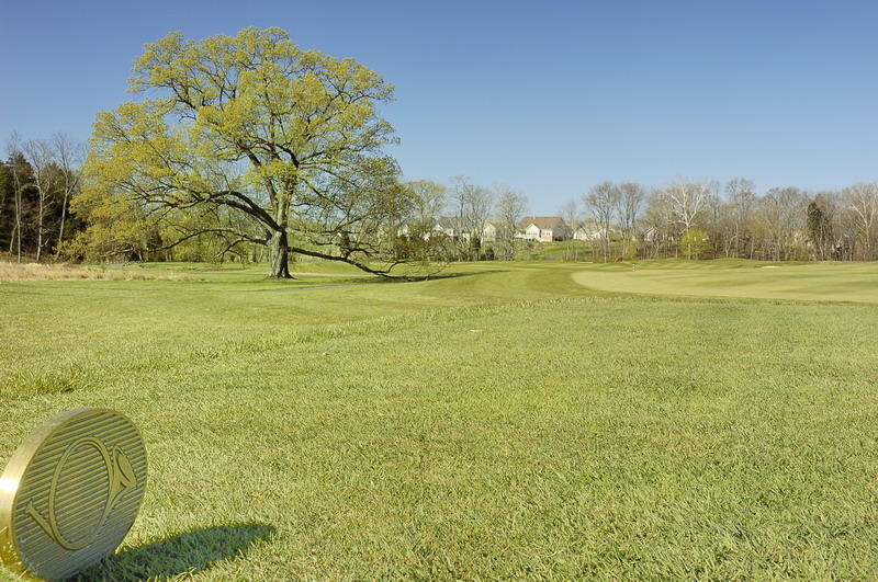 4/20/07 - Fore!