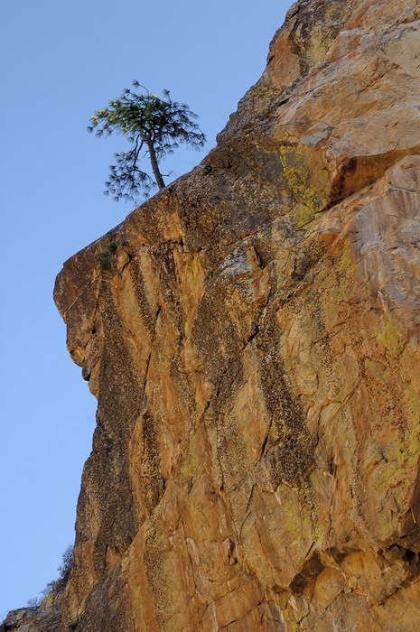 10/2/07 - Alone on the Side of Kings Canyon (Ed)