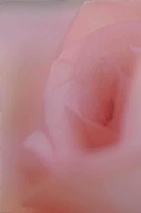 3/2/08 - Soft & Lovely