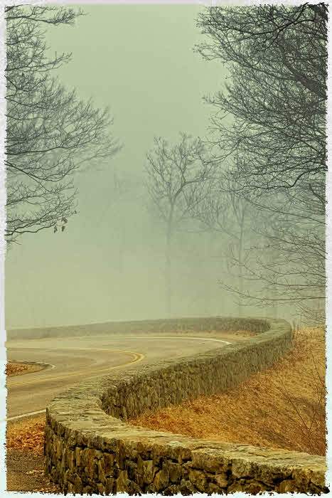 3/5/08 - Misty S