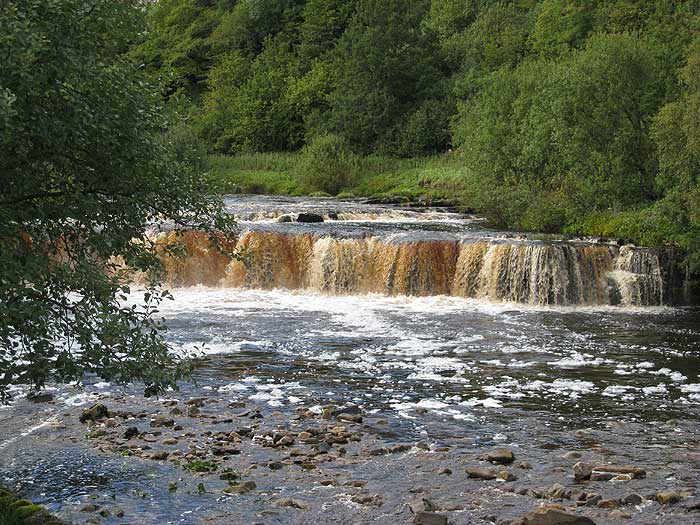 wain wath force