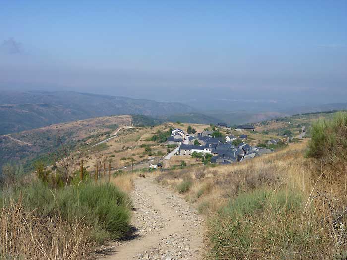 el acebo
