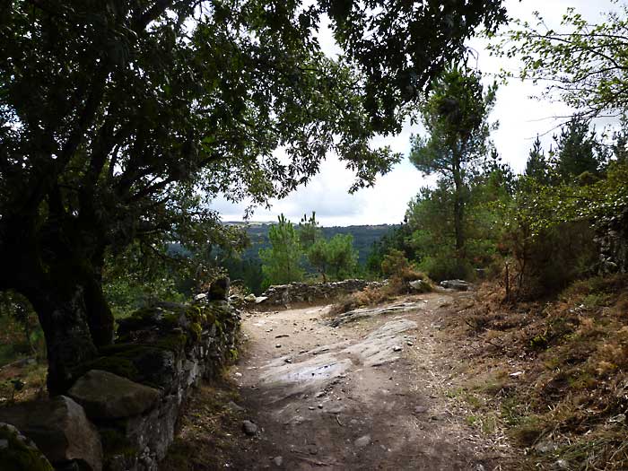 heading toward ferreiras