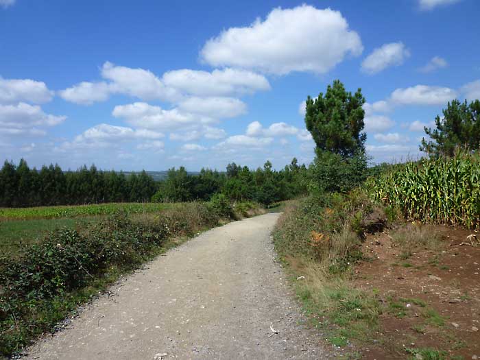 towards arzua