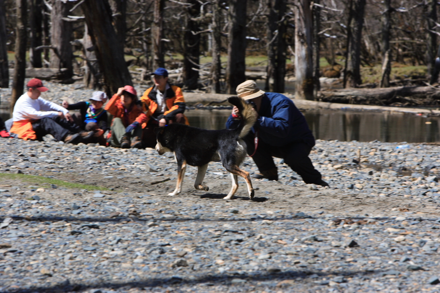 DPP_0113.JPG