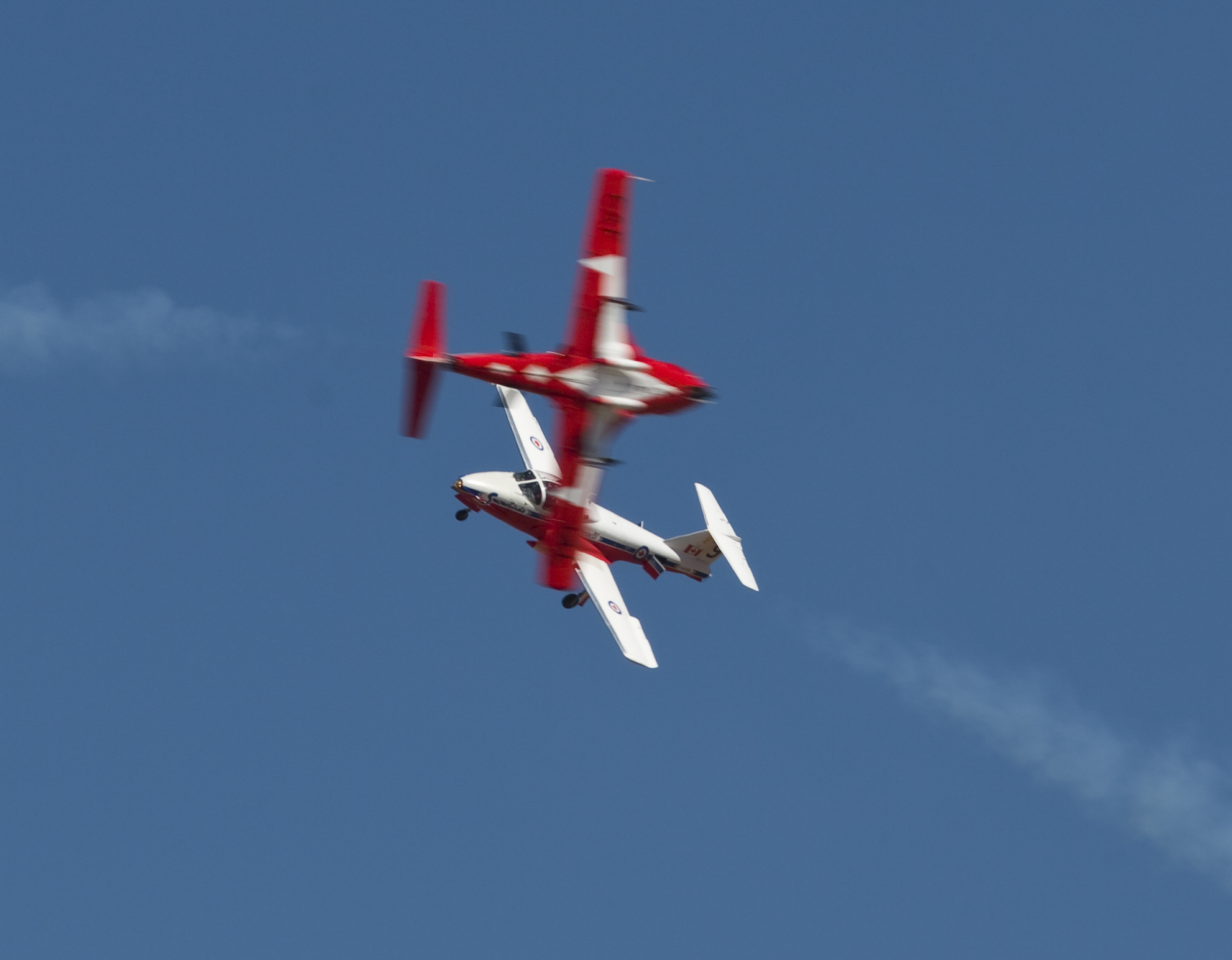 snowbirds-7746.jpg