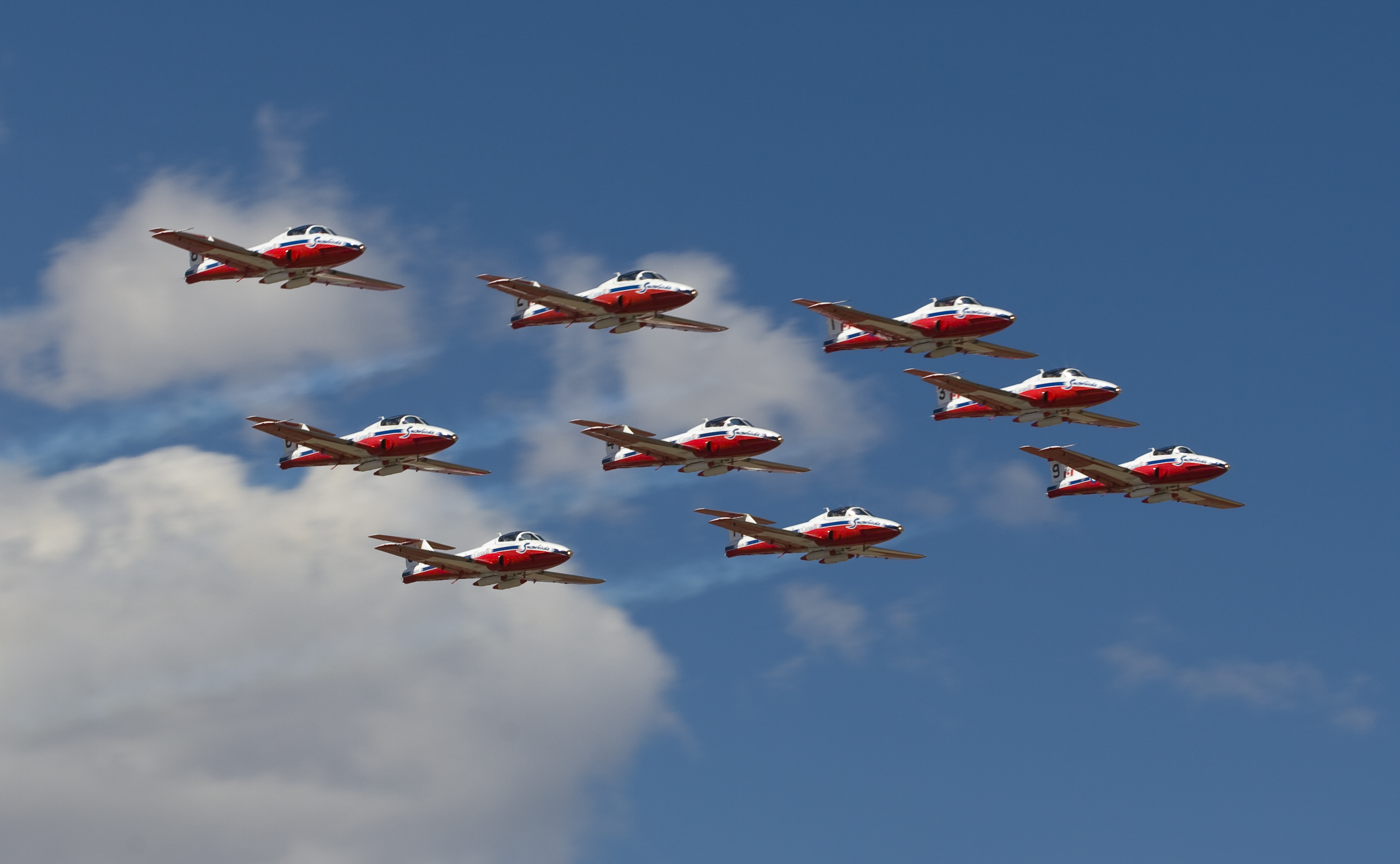 snowbirds-7770.jpg