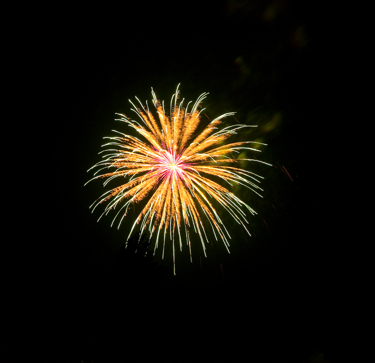IMG_3239.jpg