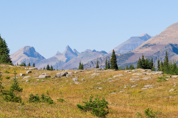 z_1020007 Mountains to the North at Logan Pass in Glacier National Park.jpg