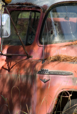 zzP1020117 Old truck - large aperture - tripod - crop-1.jpg