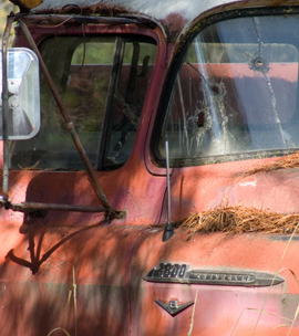 zzzP1020117 Old truck - large aperture - tripod - crop-2.jpg